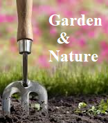 6. Half price sale Gardening, Nature, Home